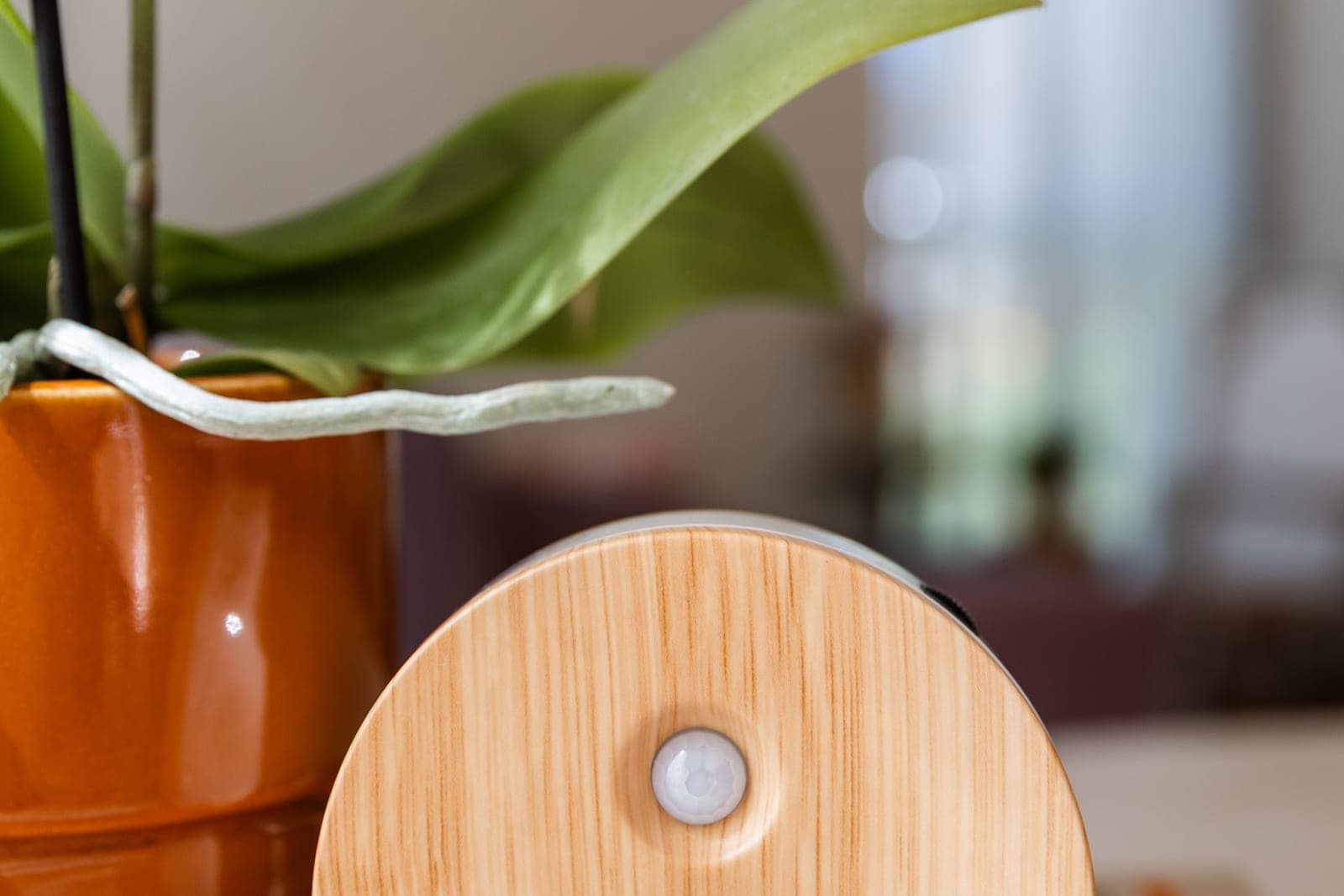 De wetenschap achter natuurgeluiden en stressreductie thuis