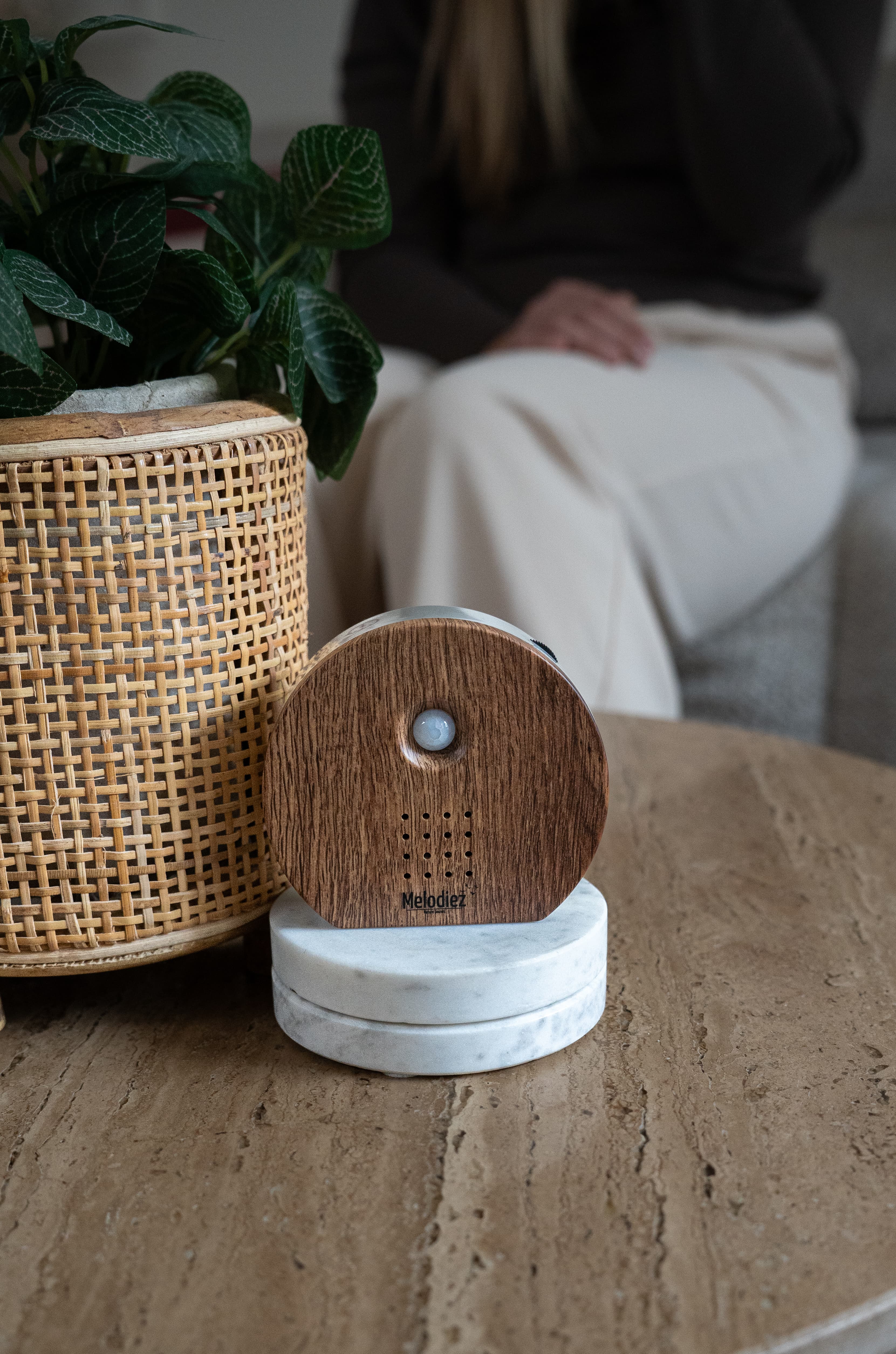 Melodiez Nature Box in de hal, klaar om te activeren