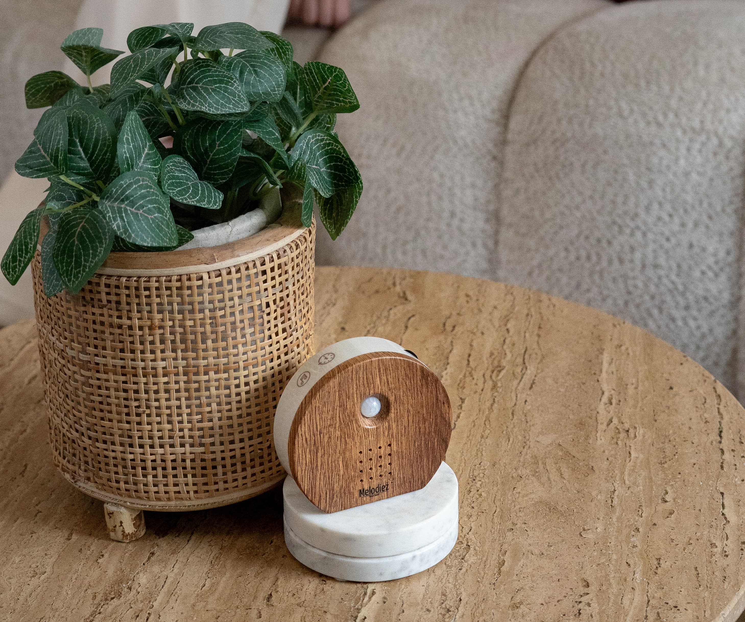Melodiez Nature Box in de woonkamer, het Zwitscherbox alternatief