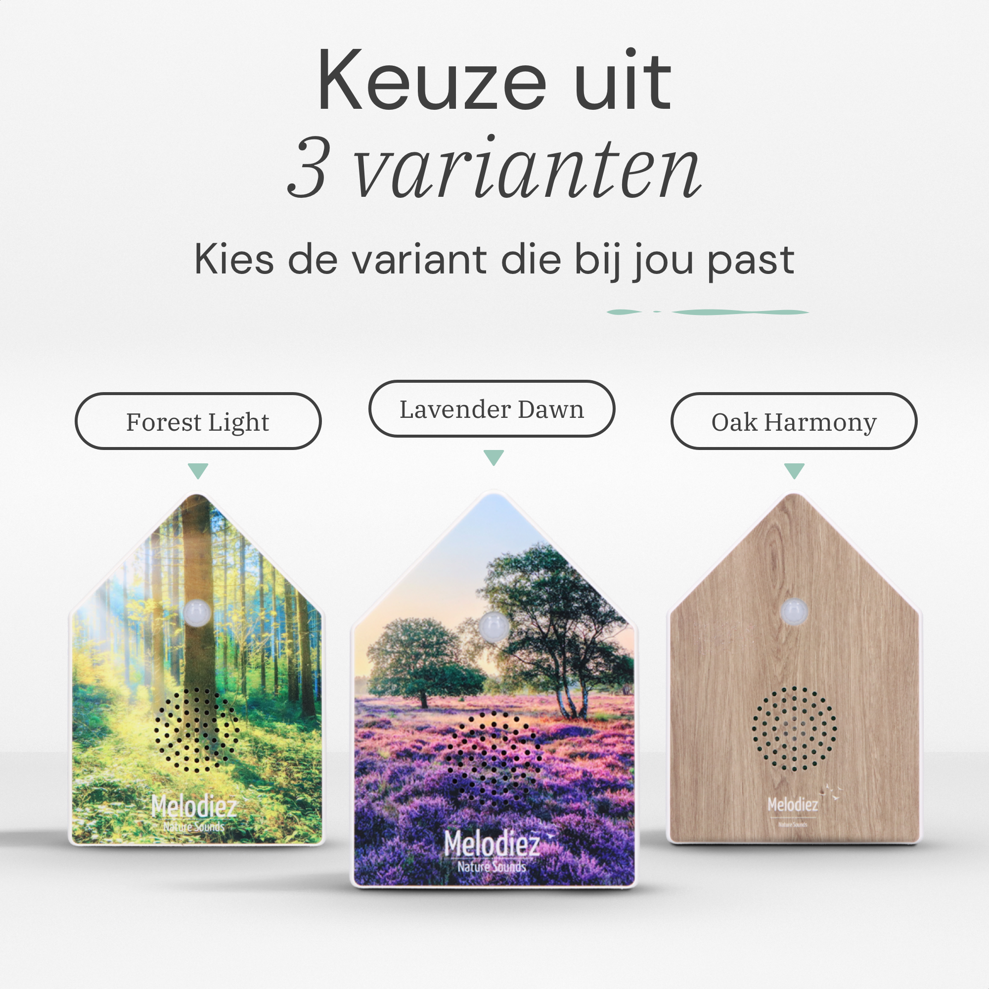 Melodiez Nature Box Lavender Dawn: Beschikbare varianten