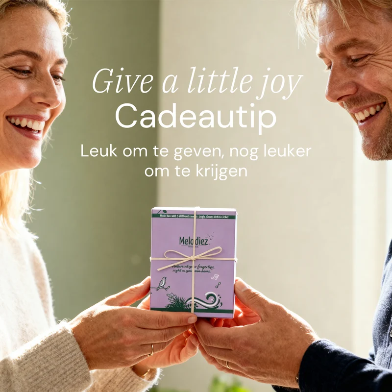 Melodiez Nature Box Lavender Dawn: Luxe cadeauverpakking