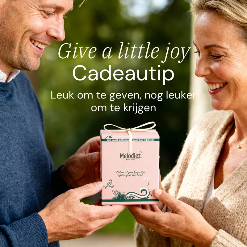 Melodiez Nature Box Dark Walnut: Luxe cadeauverpakking