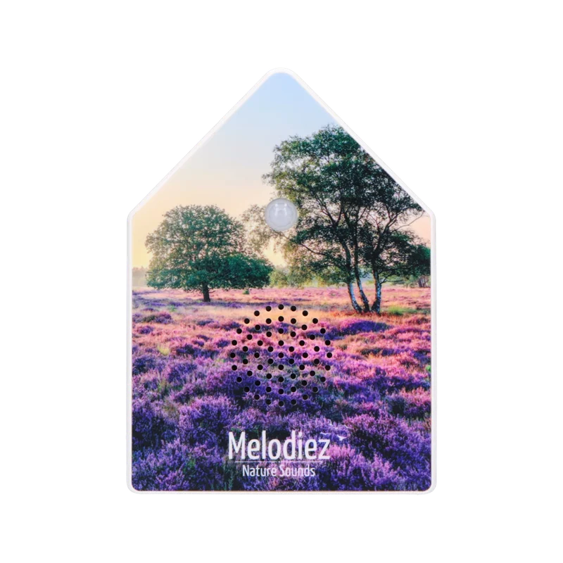 Lavender Dawn